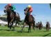  Carrera: P.Jose Antonio Rodriguez JAR Monta: R.N.Valle Caballo: Bruno